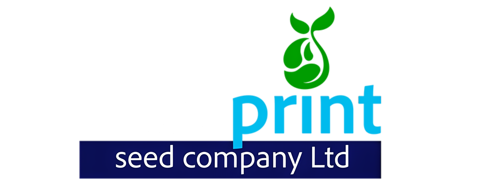 Blue print seed Company Limited